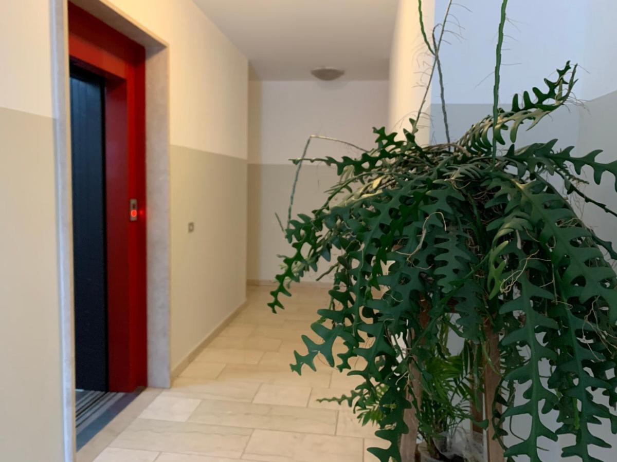 B&B Verona Business And Fun G B Rossi Friendly Екстериор снимка